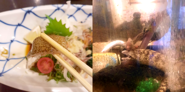 初めての食体験♪