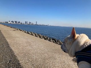 ここは・・・5