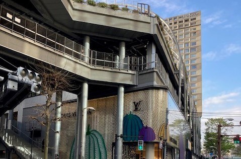 ミズタマダイスキ