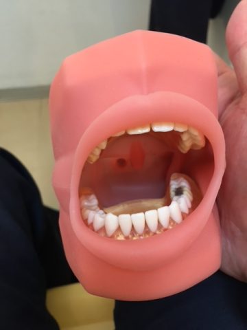 こんにちは!