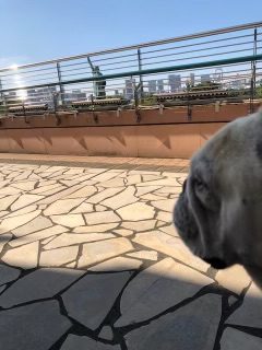 ここは・・・1