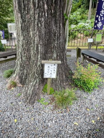 ごもっとも