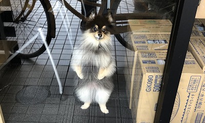 開店前の清掃中ですが・・・