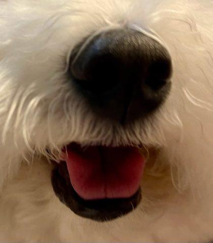 熱中症に気を付けてください。。