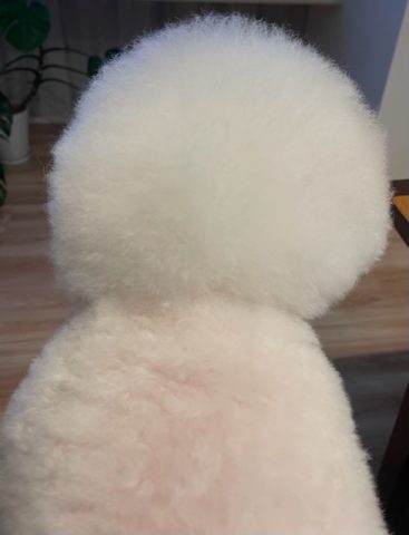 ドラえもん・・雪だるま？？