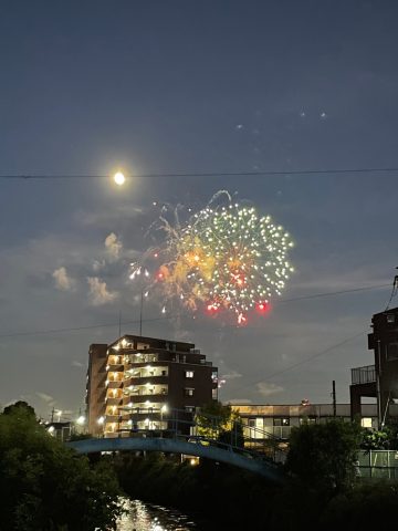 見事な大輪の花