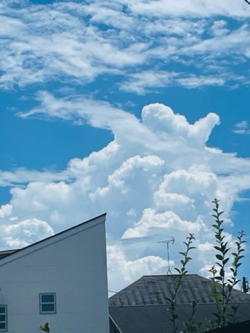 夏の空