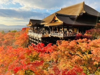紅葉