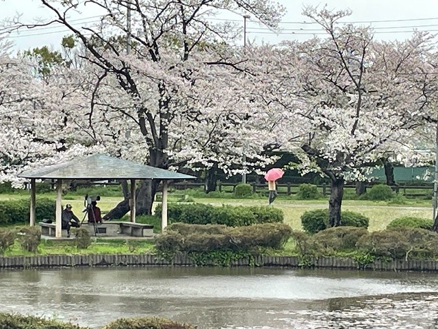 残念。