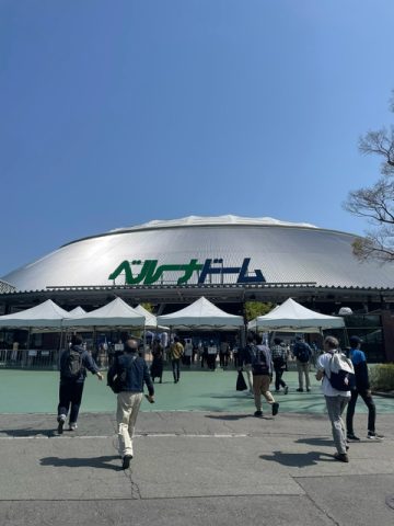 野球観戦