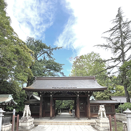初夏の香り