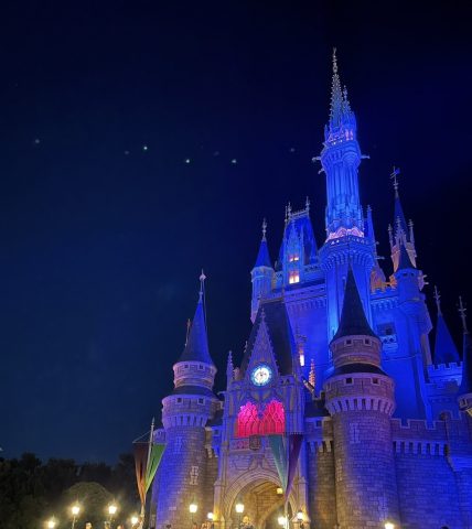 ディズニーランド🏰