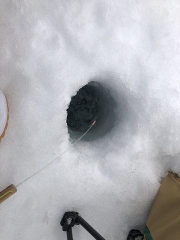 ワカサギ釣り