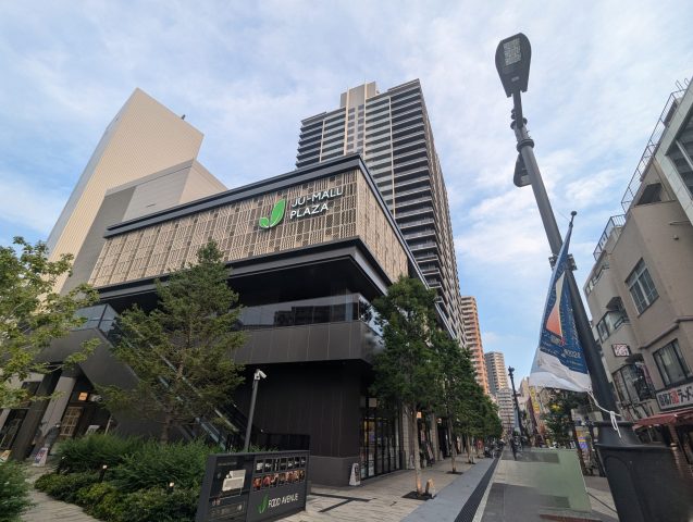 樹モール初夏の大感謝祭開催!