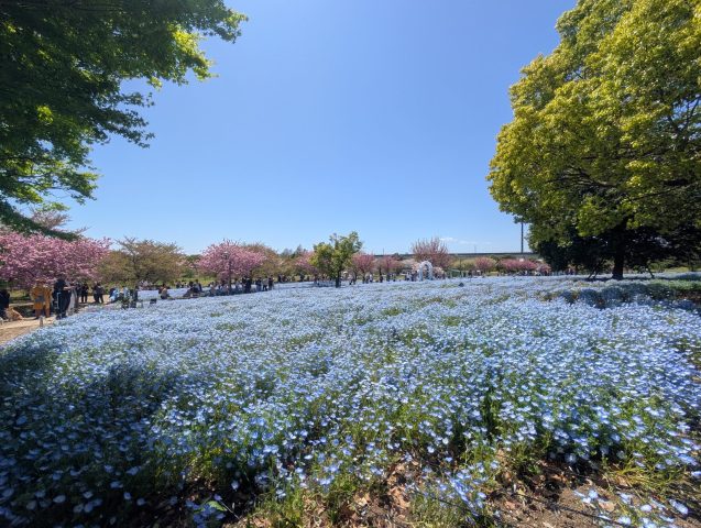 舎人公園