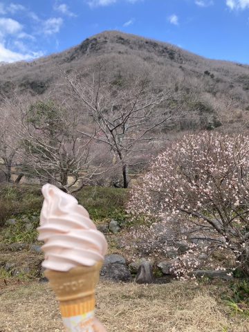 春風の味