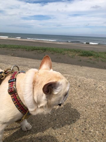 暑すぎる海