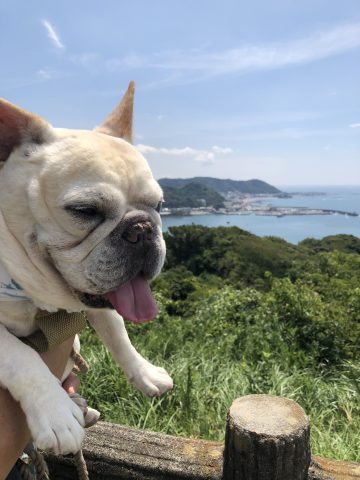 どこに行っても暑かった