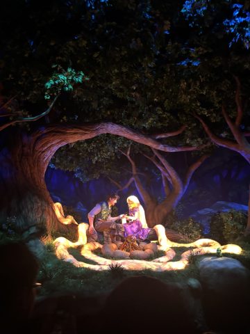先日ディズニーシーへ行きました♡