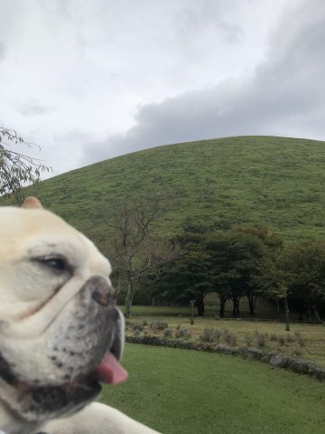 仲間に会いに来ました