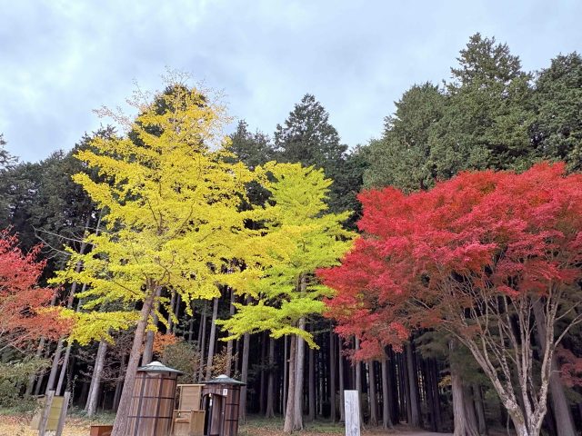 秋キャンプ