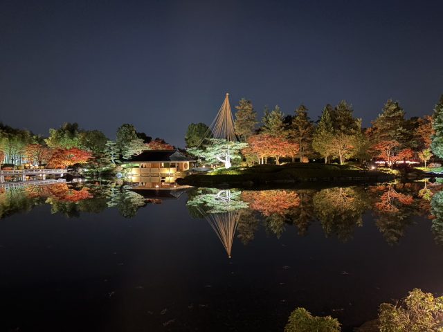 夜の日本庭園
