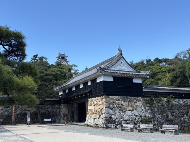 高知、最高でした!