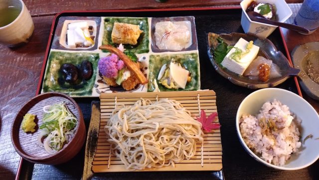 癒しのひととき