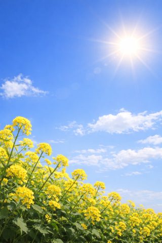 いい天気です♪