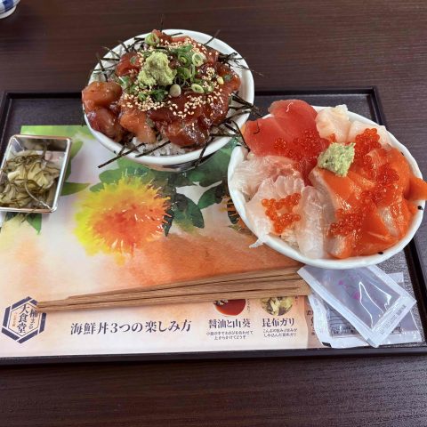 道の駅「べに花の郷おけがわ」