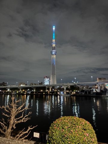 最初で最後か?スカイツリー
