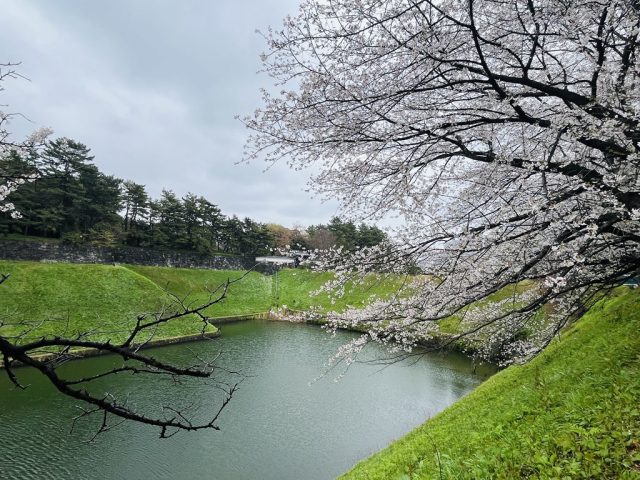 雨の千鳥ヶ淵