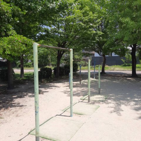 初夏の鉄棒