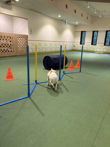 独り占め