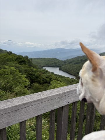 何を思う