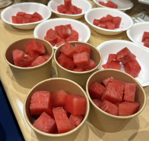 夏と言えば🍉