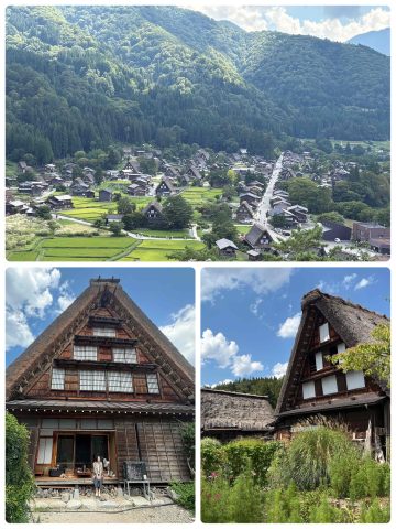 真夏の白川郷に行ってきました。