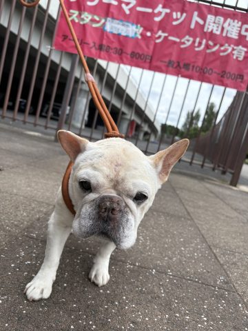 残念ながら入れませんでした